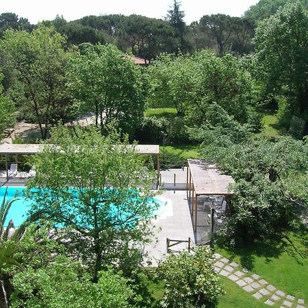 Hotel La Bussola Marina di Massa Eksteriør billede